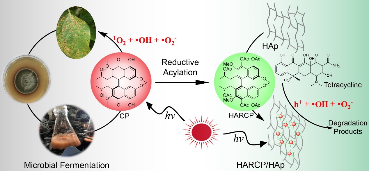 http://biotech.jiangnan.edu.cn/__local/5/88/60/EE7D4D9CA2370470C669369DC4B_A2540BAB_21ED4.jpg