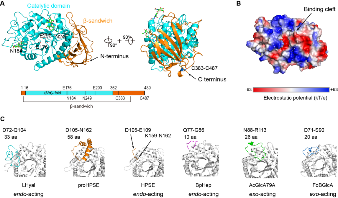 http://biotech.jiangnan.edu.cn/__local/2/26/BF/07C74229B1676D6FB87664C9B3B_EF97B801_7F97C.png