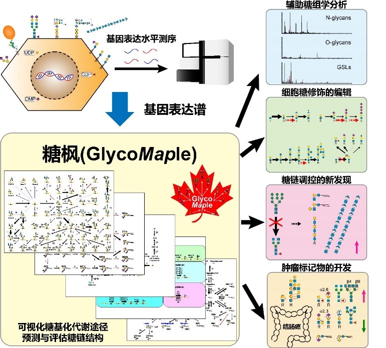 http://biotech.jiangnan.edu.cn/__local/8/D6/9A/207112812A53D7A96F8C95ABD0D_E6CF833A_25DBC.jpg