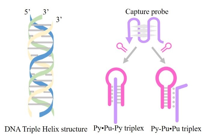 http://biotech.jiangnan.edu.cn/__local/9/FC/E9/27075D6085109F8A35E9662F0E8_11A99FC0_9EC6.jpg