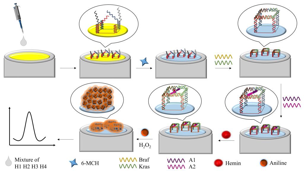 http://biotech.jiangnan.edu.cn/__local/B/B7/06/C9C56237BBD5E819E51356BB477_10D99441_12817.jpg