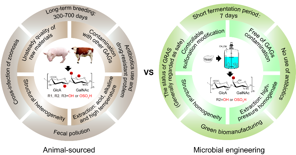 http://biotech.jiangnan.edu.cn/__local/E/0C/CC/D007843A9658B91A28BA52AEA71_188F8802_3DA58.png