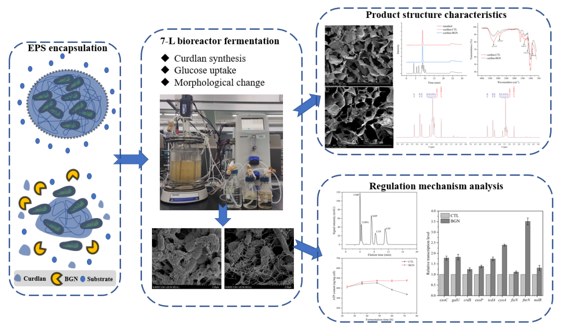 http://biotech.jiangnan.edu.cn/__local/2/4D/FF/ABF50C07DBEFEA85E53CAF9F528_10200B60_80976.png